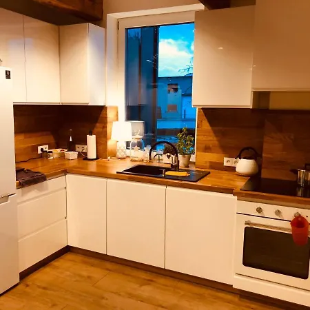 Domki Przy Ogrodach Goczałkowice-Zdrój Esterno foto